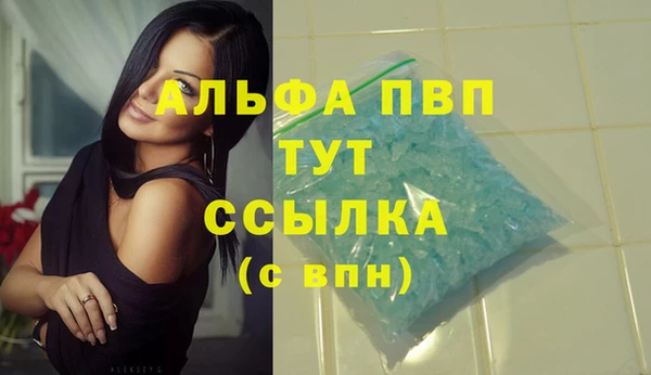 PSILOCYBIN Тында